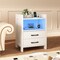 White LED Nightstand Bedside Table with USB Type-C Outlets 2 Drawers & Shelf